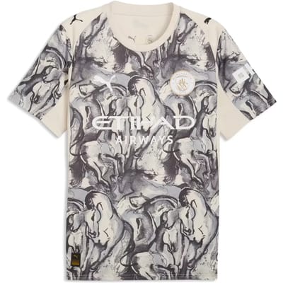 Puma Manchester City Fc Year Of The Horse Replica T-shirt Met Korte Mouwen Grijs S Man