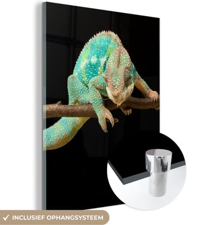 MuchoWow® Glasschilderij 120x160 cm - Schilderij acrylglas - Kameleon - Tak - Pastel - Foto op glas - Schilderijen