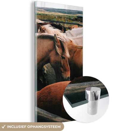 MuchoWow® Glasschilderij 20x40 cm - Schilderij acrylglas - Paarden - Dieren - Wild - Foto op glas - Schilderijen
