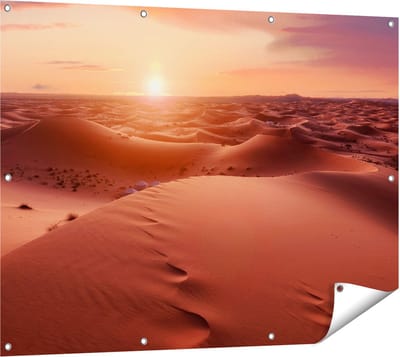 Gards Tuinposter Woestijn in de Sahara bij Zonsondergang - 120x90 cm - Tuindoek - Tuindecoratie - Wanddecoratie buiten - Tuinschilderij