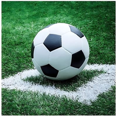 Ambiente Voetbal thema servetten - 20x - 33 x 33 cm - 3-laags papier - feestservetten - lunch servetjes