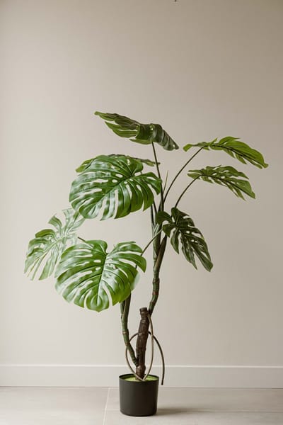 Monstera Kunstplant 130 cm – Indore Silva – Grote Gatenplant – Realistisch & Onderhoudsvrij