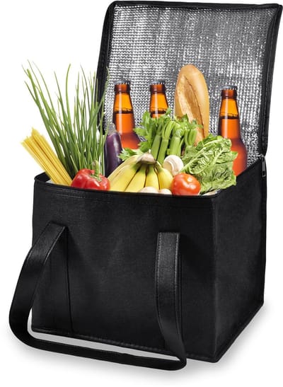 Dailygoods- Koeltas Opvouwbaar - Picknicktas - Lunchtas - Thermotas - Camping - Outdoor - Compact en Lichtgewicht