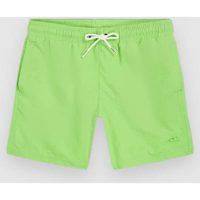 O'Neill Vert 14" Kids Boardshorts groen