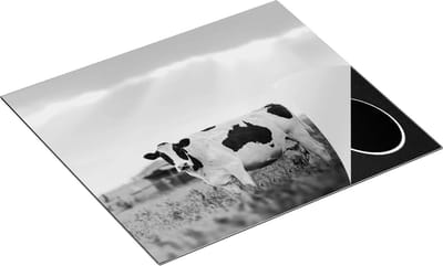 Chefcare Inductie Beschermer Zwart Wit Koe in de Wei bij Zonsopkomst - Zwart Wit - 60x50 cm - Afdekplaat Inductie - Kookplaat Beschermer - Inductie Mat
