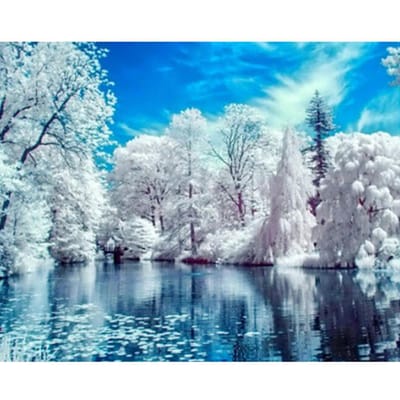 Peinture au diamant Magnifique paysage d'hiver enneigé Broderie au diamant Strass Mosaïque Image 20X30CM blue