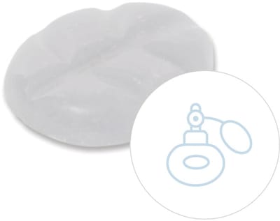 Scentchips® Ozone Stream - Geurblokjes - Huisparfum - Geurchips - Waxmelts - Geschikt voor Geurbrander en Waxbrander - S - 8 Stuks