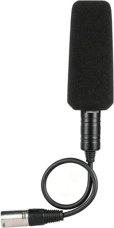 Stereo Condenser Microfoon met XLR Connector voor Videoregistratie, Interviews en Fotografie