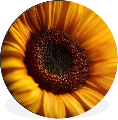 WallCircle - Wandcirkel - Muurcirkel - Geel - Zonnebloem - Zomers - Aluminium - Dibond - 30x30 cm - Binnen en Buiten