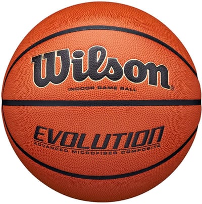 Wilson Evolution Game Indoor - size 6