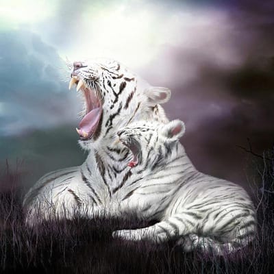 5D DIY diamant schilderij  White Tiger Roar  diamant borduurwerk kruissteek woondecoratie 20X30CM gray