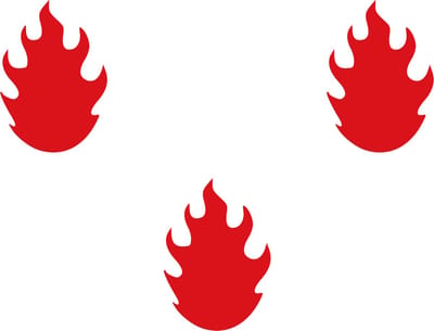 Vlag Saint-Léger 150x225cm