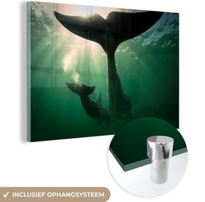 MuchoWow® Glasschilderij 120x80 cm - Schilderij acrylglas - Dolfijn - Water - Blauw - Foto op glas - Schilderijen