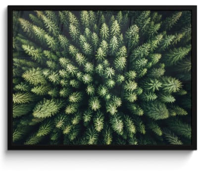 Poster in lijst - Fotolijst 70x50 cm - Posters - Bomen - Naaldwoud - Structuur - Posterlijst zwart - Decoratie - Wanddecoratie woonkamer - Muurdecoratie slaapkamer