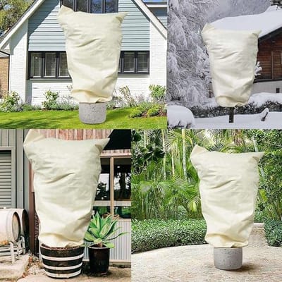 CE - Plantenbeschermhoes - 80x100 cm - Beige - 3 Stuks
