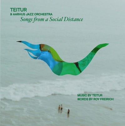 Teitur & Aarhus Jazz Orchestra - Songs From A Social Distance (CD)