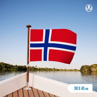Vlag Noorwegen 30x45cm