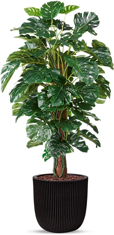 Kunstplant Monstera in planter ball Groove zwart H170 cm