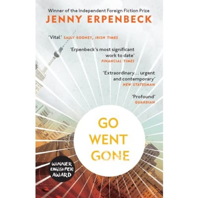 Aller Allé Allé par Jenny Erpenbeck Livre de poche 9781846276224