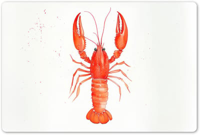 Placemats 45x30 cm - Placemat kunststof - 1 stuk - Kreeft - Waterverf - Aquarel - Oranje - Borden onderleggers - Decoratie voor op tafel - Keuken tafeldecoratie accessoires - Vinyl onderlegger - Tafelversiering