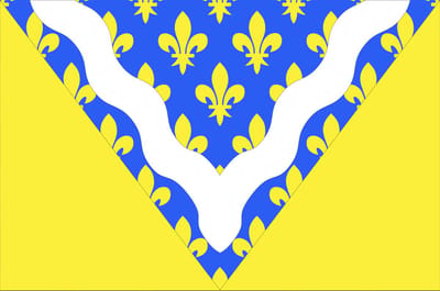 Vlag Val-de-Marne 100x150cm