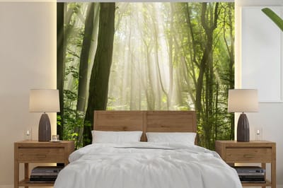 Behang - Fotobehang Bos - Licht - Natuur - Landschap - Breedte 240 cm x hoogte 240 cm