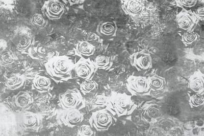 Fotobehang - Roses Abstract II 375x250cm - Vliesbehang