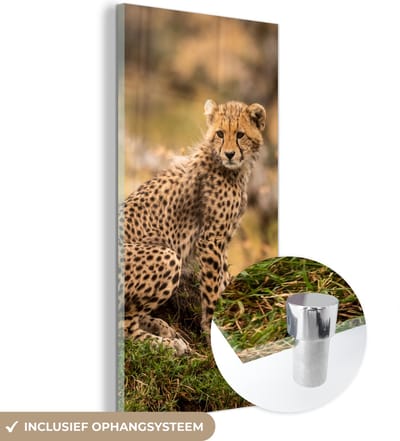 MuchoWow® Glasschilderij 20x40 cm - Schilderij acrylglas - Luipaard - Bos - Dier - Foto op glas - Schilderijen