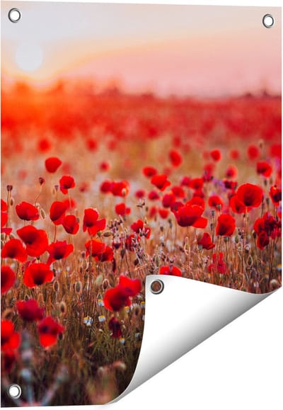 Gards Tuinposter Rode Klaprozen Bloemenveld Zonsondergang - 40x50 cm - Tuindoek - Tuindecoratie - Wanddecoratie buiten - Tuinschilderij