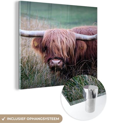 MuchoWow® Glasschilderij 50x50 cm - Schilderij acrylglas - Schotse Hooglander - Hoorns - Gras - Foto op glas - Schilderijen