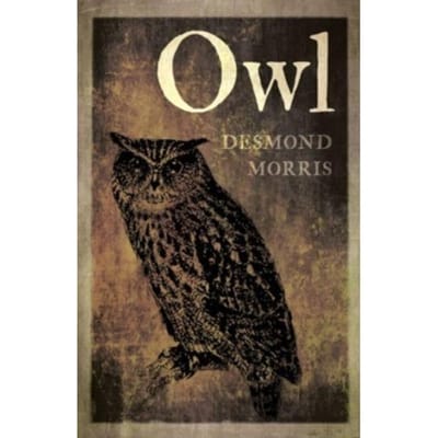 Owl - Desmond Morris