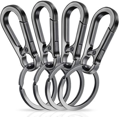Dailygoods- Sleutelhanger Robuust - Karabijnhaak Zinklegering - Sleutelhangerhouder - Set van 4 Stuks - Flexibel Ontwerp - Voor Eenvoudig Ophangen - Sleutelhaken