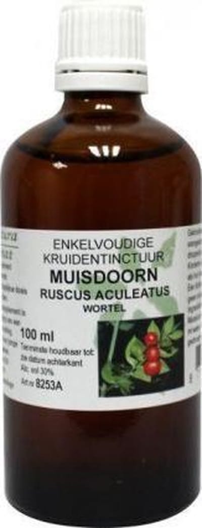 Ruscus Aculeatus Rad/Muisdoorn