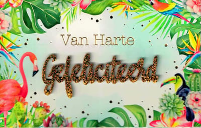 Wenskaart - luxe wenskaart - van harte gefeliciteerd - verjaardag - jarig - jarige - gefeliciteerd