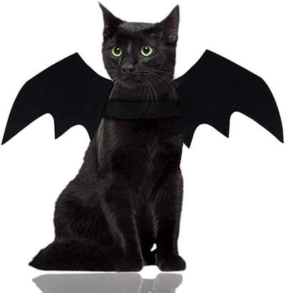Daity Halloween kattenkostuums voor katten - honden en huisdieren met vleermuisvleugels - Kat en hond vleermuiskostuum met vleugels - Kat en hond cadeaus - Huisdiercadeaus (maat L)