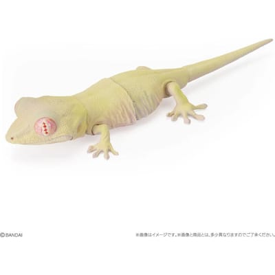 Echte Populariteit Gacha Biologische Encyclopedie Japanse Hagedis Baardagaam Actiefiguur Model Perfect Speelgoed