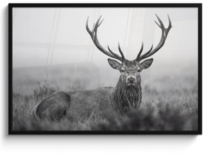 Poster in lijst - Fotolijst 120x80 cm - Posters - Hert - Mistig - Zwart - Wit - Posterlijst zwart - Decoratie - Wanddecoratie woonkamer - Muurdecoratie slaapkamer