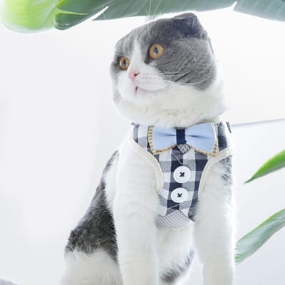 Polyester Gilet en maille respirante style Harnais de poitrine pour animal de compagnie Laisse de traction pour chats(M ) M white