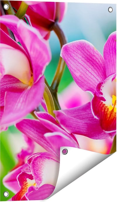 Gards Tuinposter Licht Paarse Orchidee Bloemen - 40x60 cm - Tuindoek - Tuindecoratie - Wanddecoratie buiten - Tuinschilderij