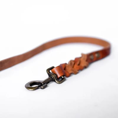 Cooper & Quint Twisted - Hondenriem gevlochten leer - Camel - 140cm - Oud Messing
