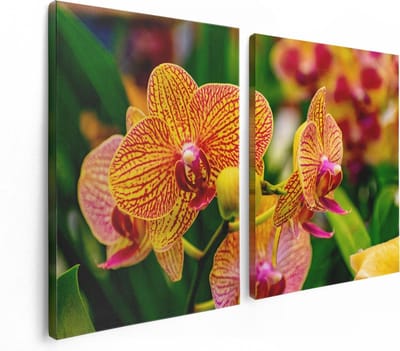 Artaza Canvas Schilderij Tweeluik Kleurrijke Rozen - Bloemen - Abstract - 120x80 - Foto Op Canvas - Canvas Print