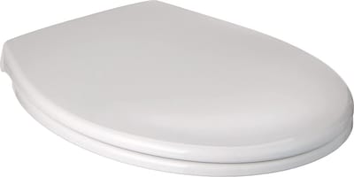 Luxe toilet bril met deksel