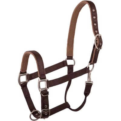 Halster voor paarden BR Equitation Event