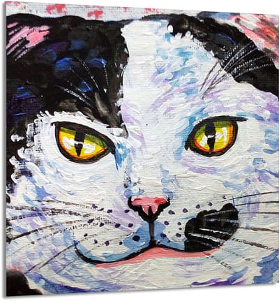 TMK ArtDeko - Serie Kot - Glazen Beschermpaneel - 60x65 cm - Voor Alle Soorten Kookplaten