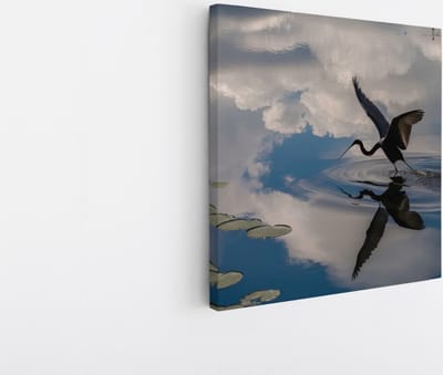 Saammp Canvas Schilderij - Reiger - Dieren - Bloemen - 20x20 - Foto op canvas - Wanddecoratie - muurdecoratie Woonkamer - Slaapkamer decoratie - Canvas Print