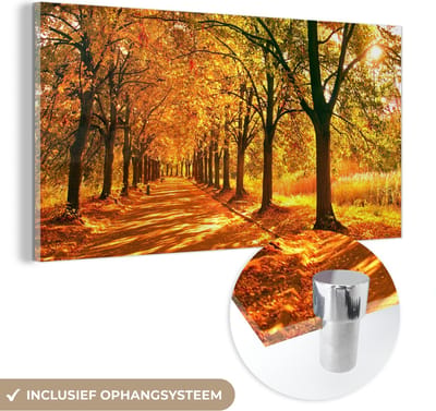 MuchoWow® Glasschilderij 40x20 cm - Schilderij acrylglas - Bos - Herfst - Seizoenen - Landelijk - Foto op glas - Schilderijen
