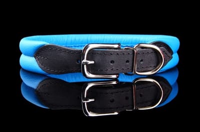 Dog's Companion Leren Halsband - Lengte: 45 cm Verstelbaar van 37-42 cm x 25 mm - Blauw