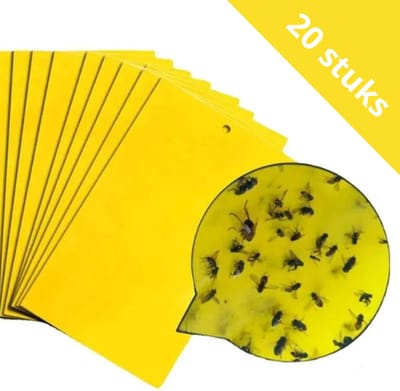 Daily Essentialz Rouwvliegjes Bestrijden Fruitvliegjes vanger - Vliegenval - Vliegenvanger - 20 stuks