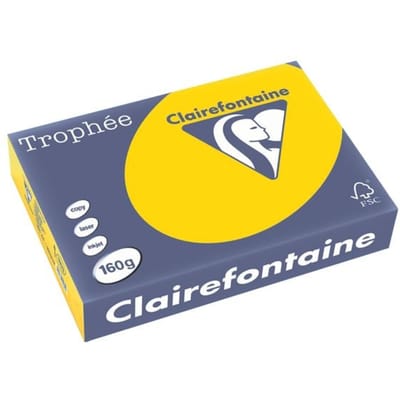 Clairefontaine Trophée Pastel, gekleurd papier, A4, 160 g, 250 vel, goudgeel