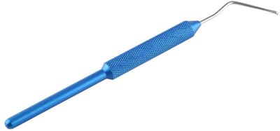 Dailygoods- Bijenlarven Gereedschap Roestvrij Staal - Entnaald - Antislip Handgreep - Duurzaam - 17 cm - Voor Het Fokken Van Koningin - Enttool